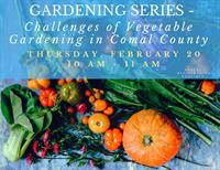Gardening Series - Challenges of Vegetable Gardening in Comal County