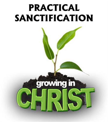 Gallery Image ps_GROWING_IN_CHRIST.png