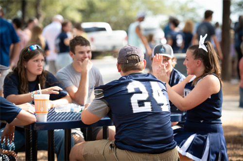 Gallery Image 35.png