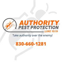 Authority Pest Protection