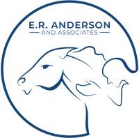 Integrity Negotiations with E. R. Anderson and Associates