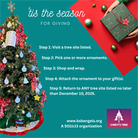 CINDY'S TREE SITES COMING IN THE NEAR FUTURE!