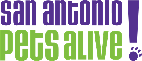 Gallery Image Vector-SAPA-logo_horizontal-greenpur.png Gallery Image Vector-SAPA-logo_horizontal-greenpur.png
