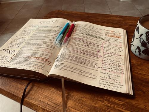 Gallery Image IMG_5649.jpeg