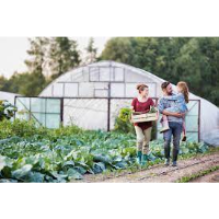 From Homestead Hobby to Thriving Business: Tips to Monetize Your Hobby Farm