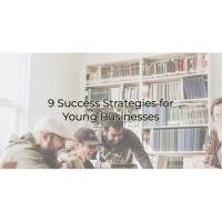 9 Success Strategies for Young Businesses