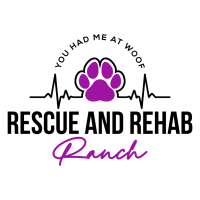 Local Texas Animal Rescue Saving Lives: One Paw at a Time