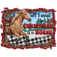 Jackpot Buckle Series #5