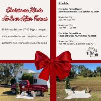 Christmas Minis at Ever After Farms
