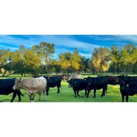 Winter Ranch Day at James Ranch