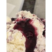 Bostwick Blueberry Festival