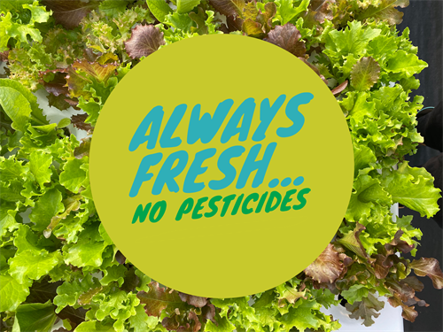 Always fresh 24/7/365 Always fresh 24/7/365