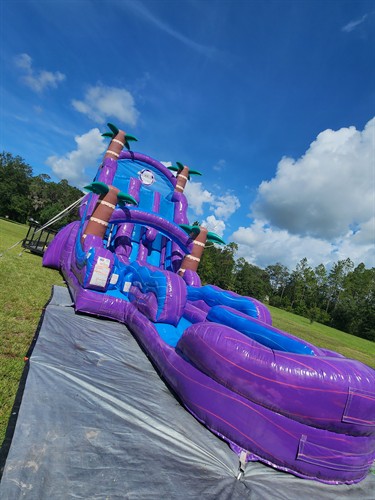 Gallery Image 20250803_105531_(1).jpg