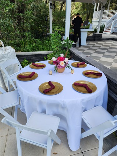 Elegant Table, Chair and Linen Rentals