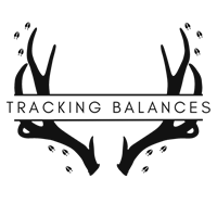 Tracking Balances