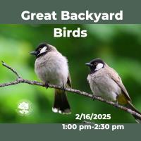 The Great Backyard Birds