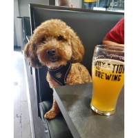 *SPECIALS* - Woof Wednesdays