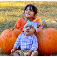 Annual Perimeter Pumpkin Patch