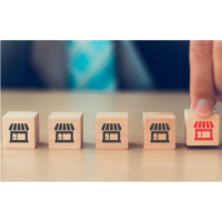 The Franchise Advantage: Proven Systems for Building and Scaling Your Business