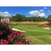 Georgia Chamber Open