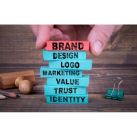 Budget-Friendly Branding: Create a High-Value Brand for Less