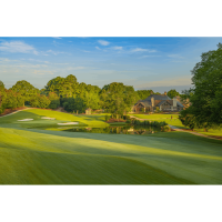 Georgia Chamber Champions Cup