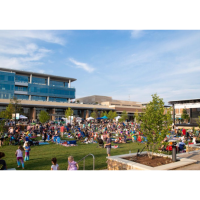 20 Years Strong, 20 Ways to Connect: Family Fun Day