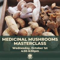 Medicinal Mushroom Masterclass