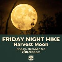Friday Night Hike