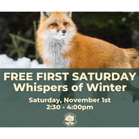 Free First Saturday: Whispers of Winter