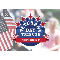 Veterans Day Tribute