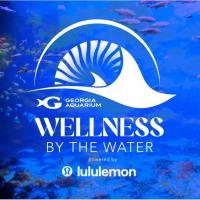 Wellness by the Water Sound Bath