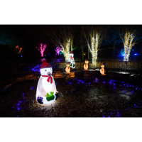 Holiday Lights Season Opening