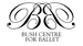 The Bush Centre for Ballet's Halloween Party