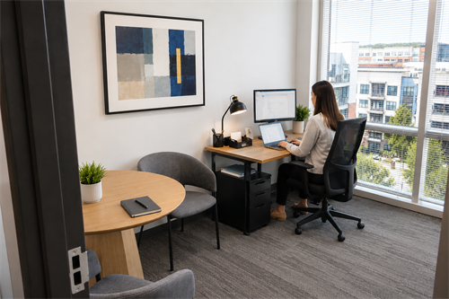 Small Private Office