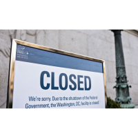 'A well-functioning economy requires a functioning government'