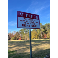 Dunwoody celebrates Art for All at Wildcat Park