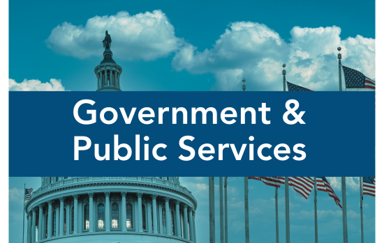 Government & Public Services