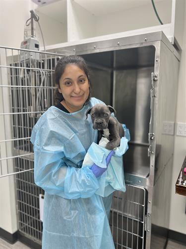 Registered Veterinary Technician, Sheryl, and her sweet patient