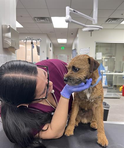Technician Assistant, Izabella, comforting her patient