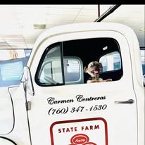 Gallery Image foxy_5.jpg