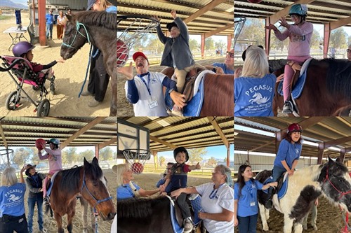 Gallery Image pegasus_collage_square.jpg