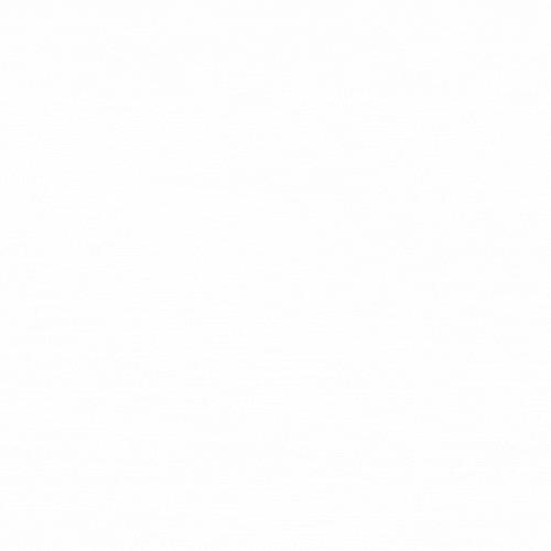 Gallery Image TRYPPS_Logo_2025_GIF.gif