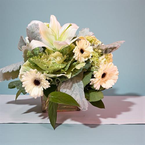 Gallery Image Photoroom_20260105_115450.jpeg