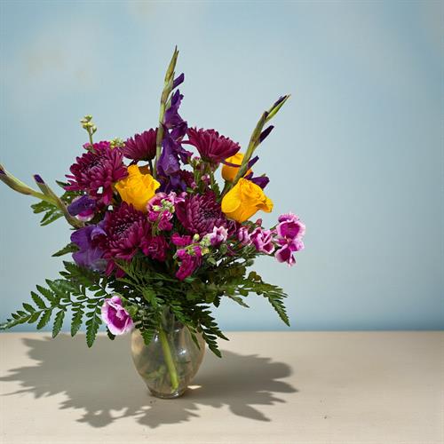 Gallery Image Photoroom_20260106_114041.jpeg