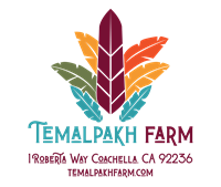 Yoga with Soulzenter hosted at Temalpakh Farm, Market & Education Center