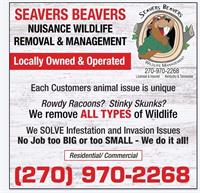 Seavers beavers and more wildlife manage