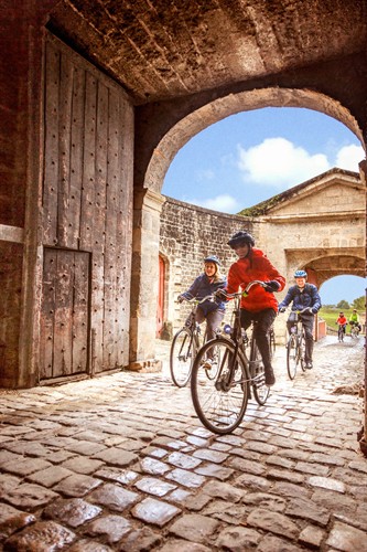 Explore by bike with a tour or on your own