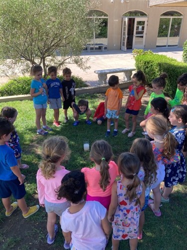 Gallery Image 6a6f32144dd7ab40f5d4787cdd50e568.jpg Gallery Image 6a6f32144dd7ab40f5d4787cdd50e568.jpg