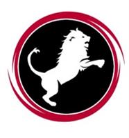 Nemean Solutions, LLC